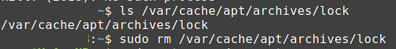 Checking whether apt lock file still exists